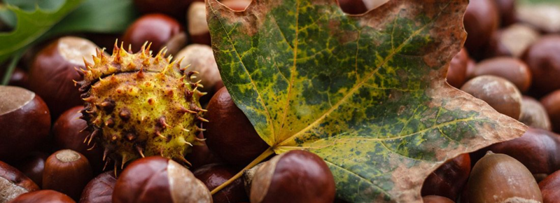 20210224-094822.png 20210224-094822.png