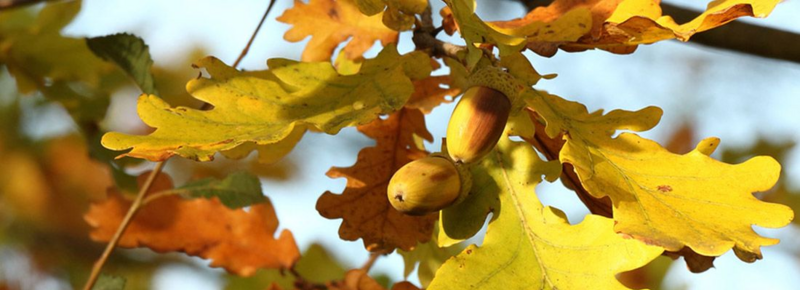 20210224-095545.png 20210224-095545.png