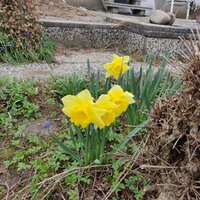 img_20190331_105717.jpg img_20190331_105717.jpg