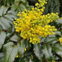 img_20190331_105817.jpg img_20190331_105817.jpg