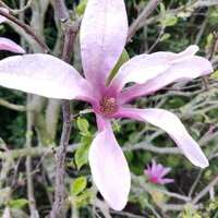 img_20200412_183055_dro.jpg img_20200412_183055_dro.jpg