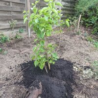 img_20200526_203943.jpg img_20200526_203943.jpg