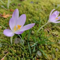 img_20210222_161411.jpg img_20210222_161411.jpg