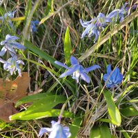 img_20210330_180209.jpg img_20210330_180209.jpg