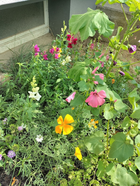 20210917-132434.png 20210917-132434.png